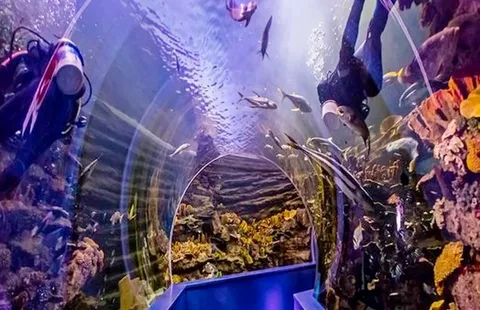 Аквариум в Шардже (Sharjah Aquarium)
