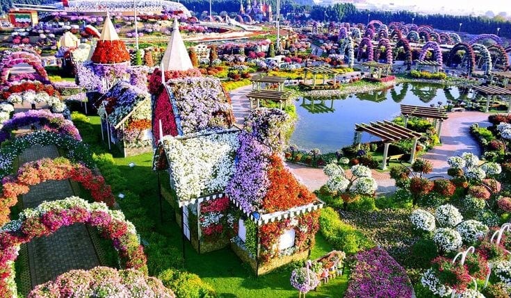 Разрешено ли приносить еду в Miracle Garden?