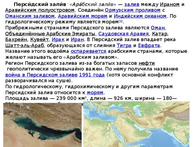 Где водятся акулы в Дубае?